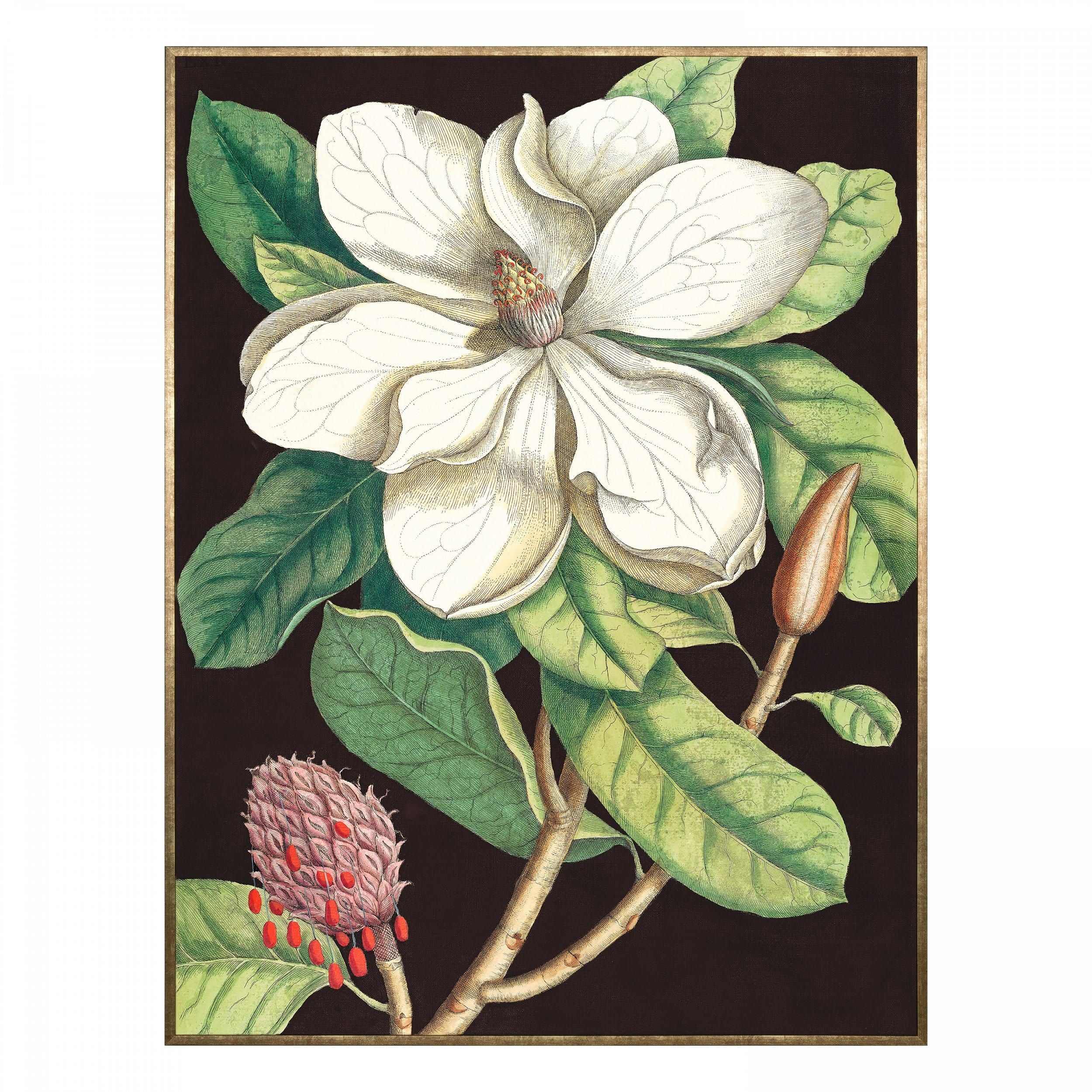 Magnolia Tree Artwork