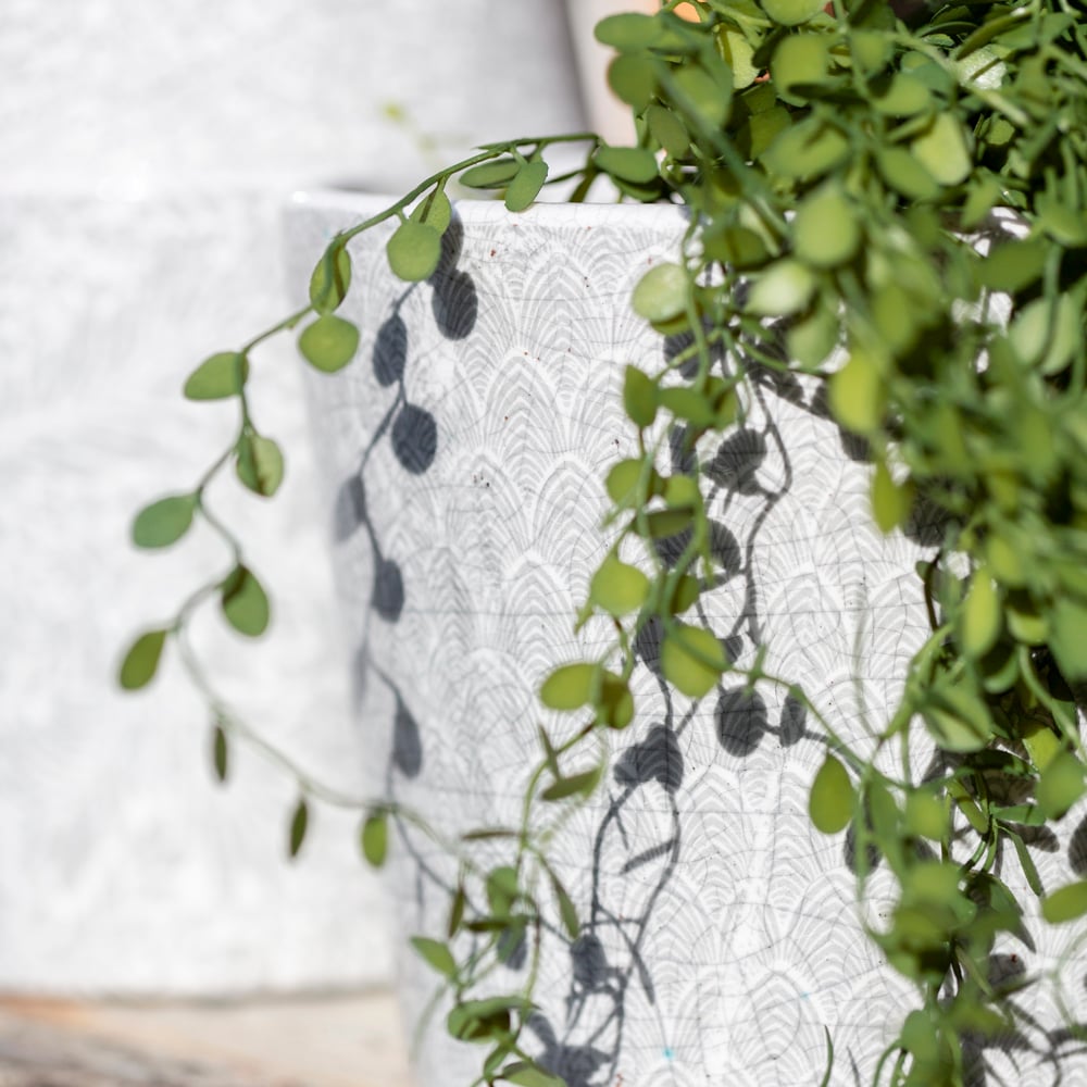 Old Style Dutch Pots Large - 4 Assorted Designs