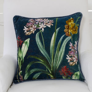 Velvet Cushion Agapanthus